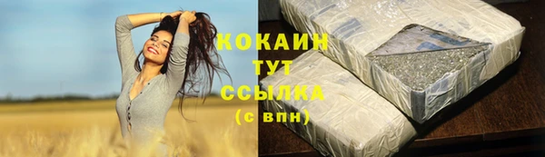 спиды Дмитриев