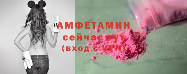 гашик Дмитровск