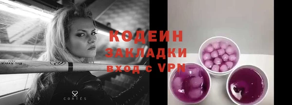спиды Дмитриев