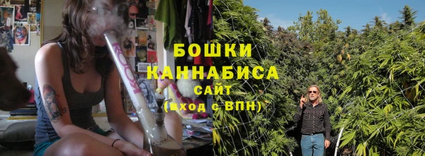 гашик Дмитровск