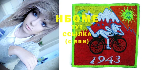 гашик Дмитровск