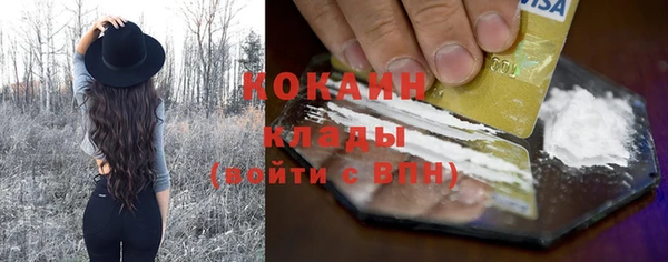 гашик Дмитровск