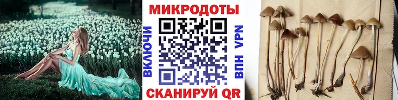 где можно купить   Зарайск  Галлюциногенные грибы прущие грибы 